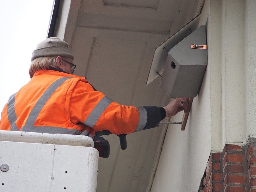 Man hangt nestkast voor gierzwaluw op met een hoogtewerker Man hangt nestkast voor gierzwaluw op met een hoogtewerker